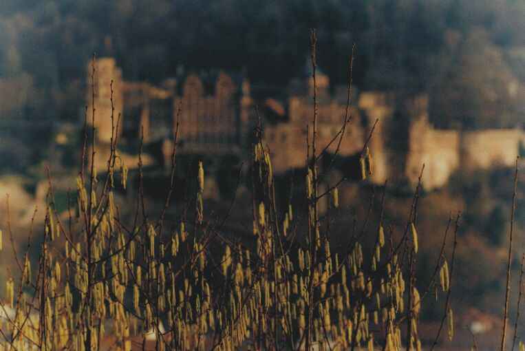 Image 4 of 16  -  87 kB