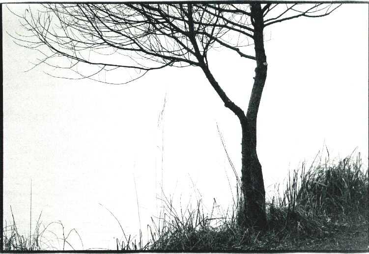 Bild 14 von 16  -  82 kB