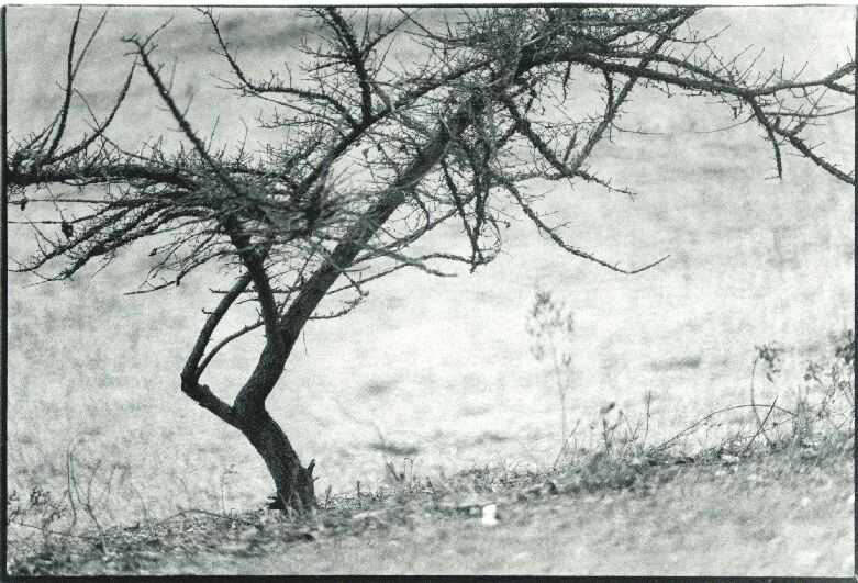 Bild 15 von 16  -  120 kB