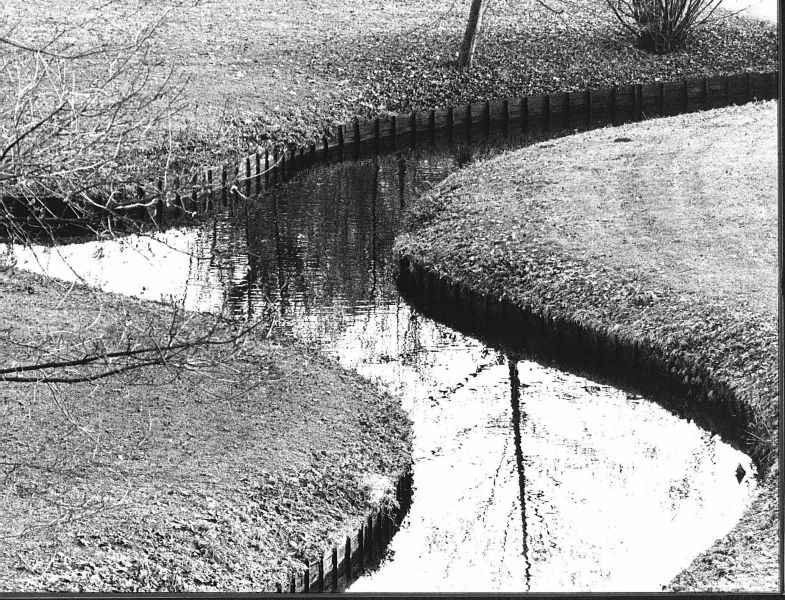 Schwetzinger Schlossgarten-Wasserlauf