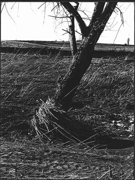 Hochwasser-Spuren