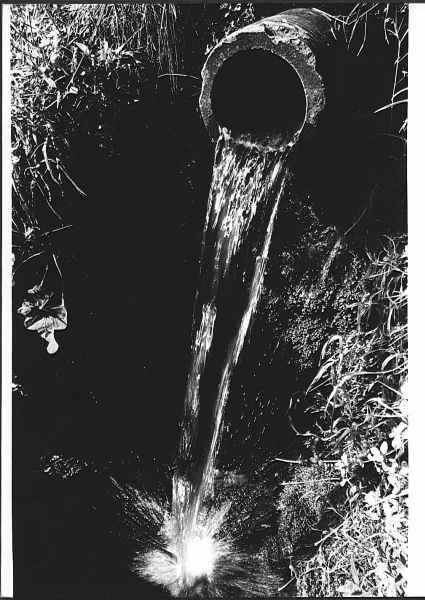 Wasserrohr (Leica)