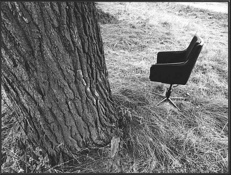 Sessel, Baum