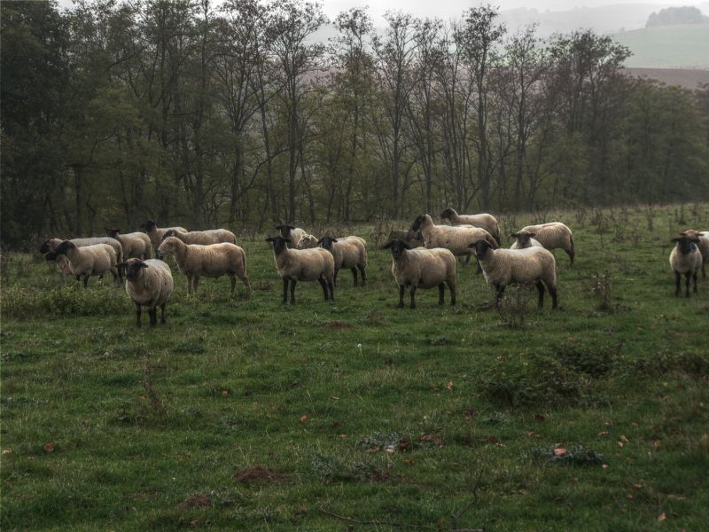 hdr-bild100