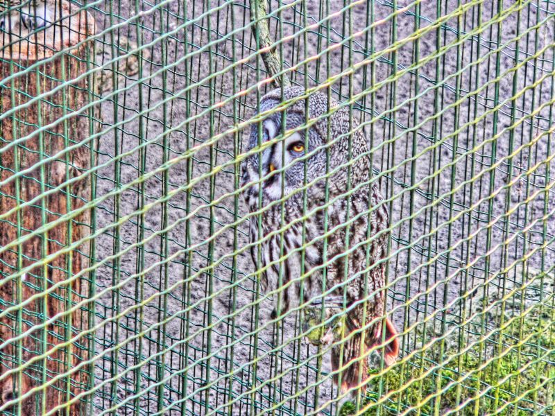 hdr-bild101