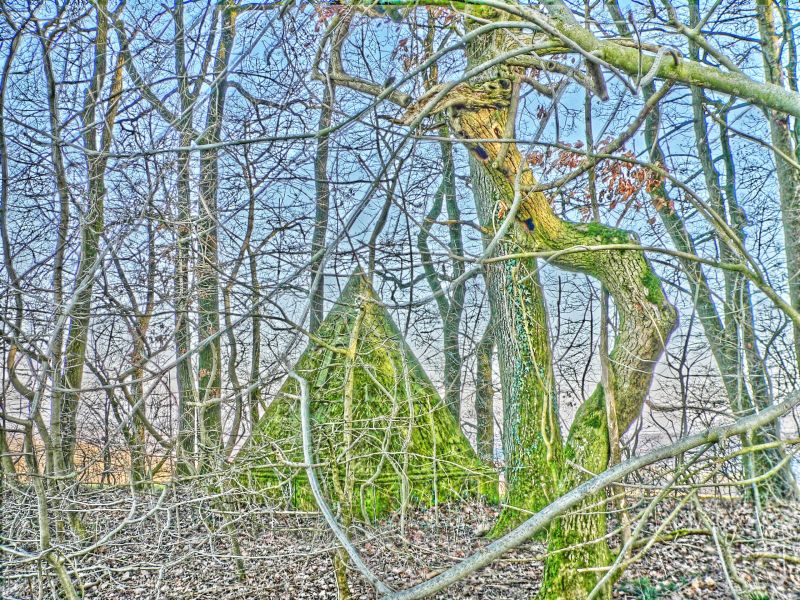 hdr-bild53