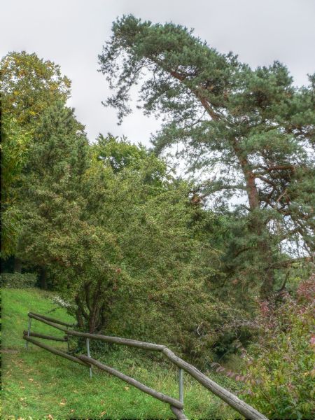 hdr-bild61