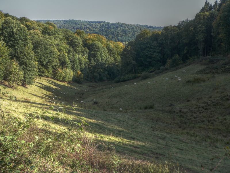 hdr-bild64