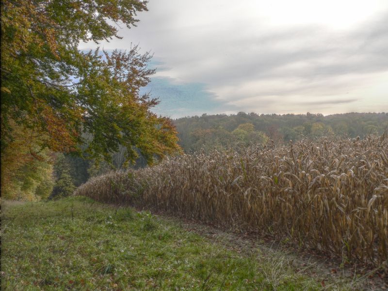 hdr-bild65