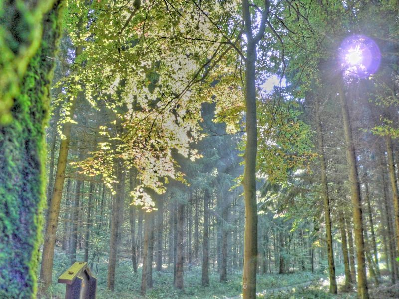 hdr-bild68