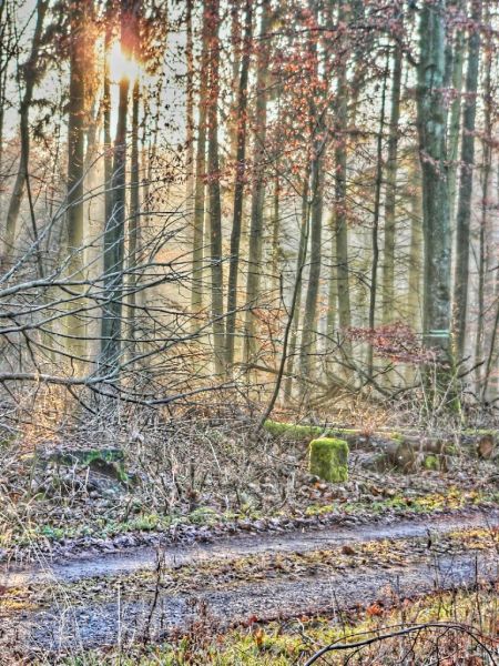hdr-bild70