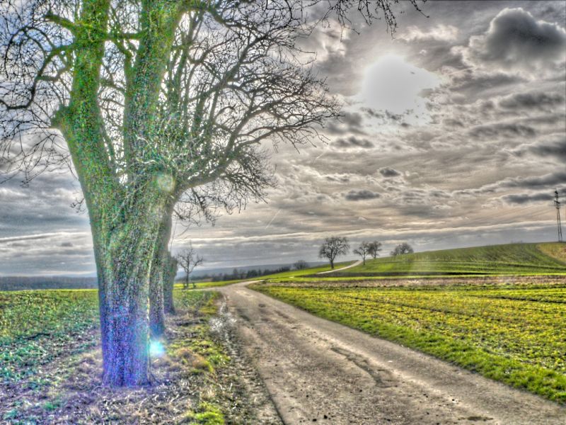 hdr-bild61