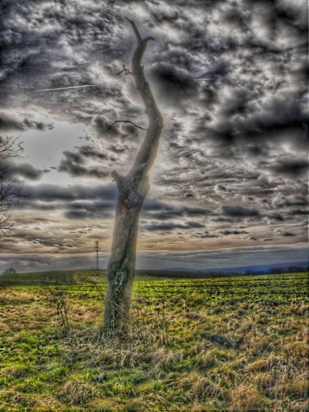 hdr-bild77