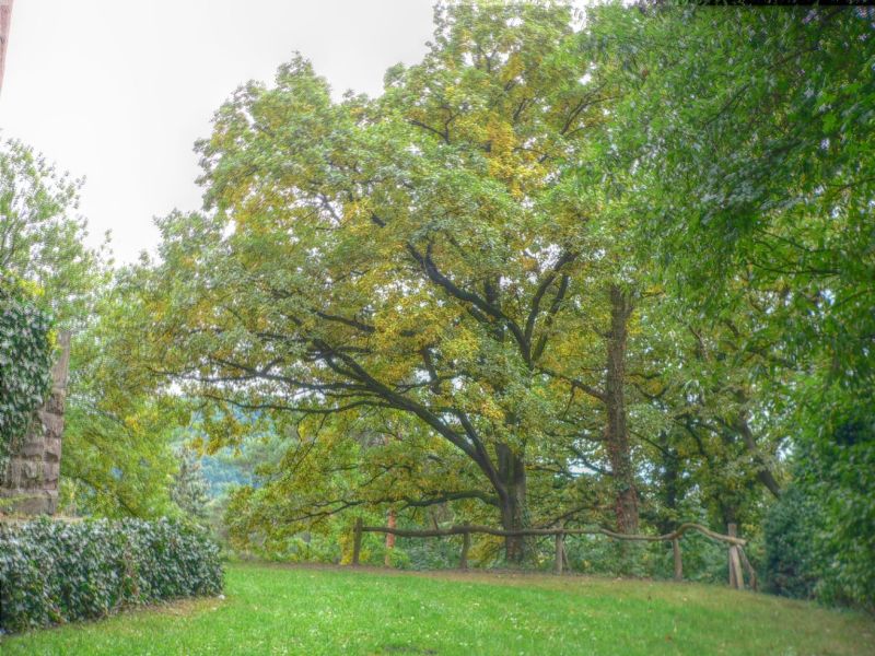 hdr-bild79