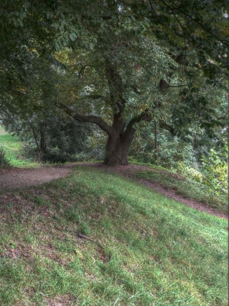 hdr-bild80
