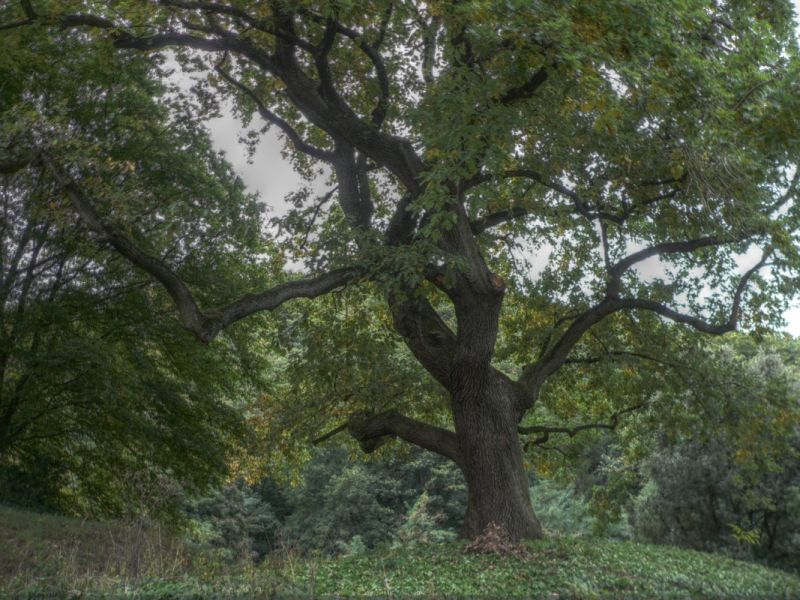 hdr-bild82