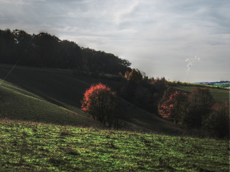 hdr-bild85