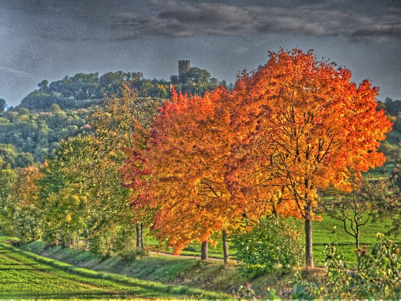 hdr-bild86