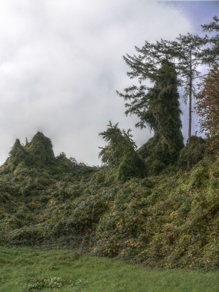 hdr-bild90