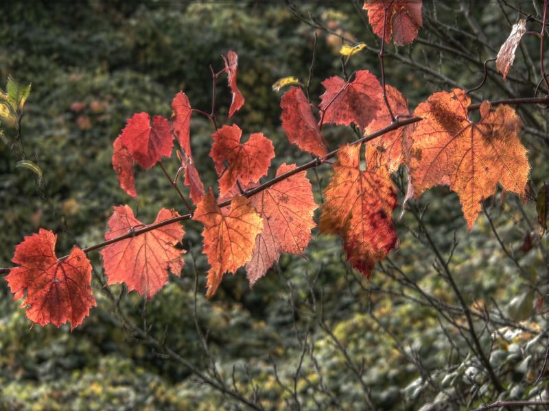 hdr-bild91
