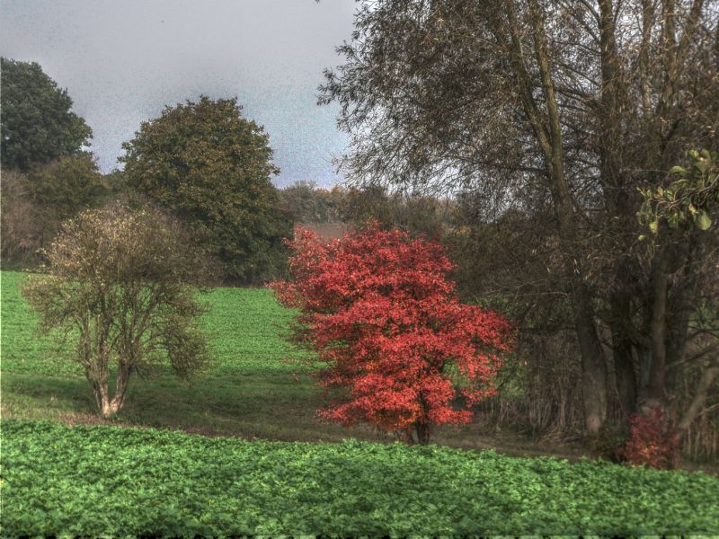 hdr-bild92