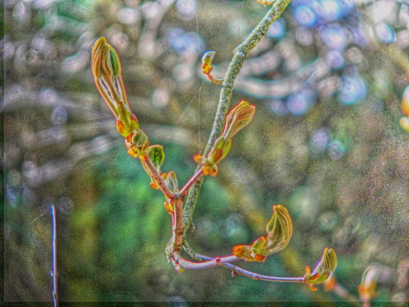 hdr-bild93