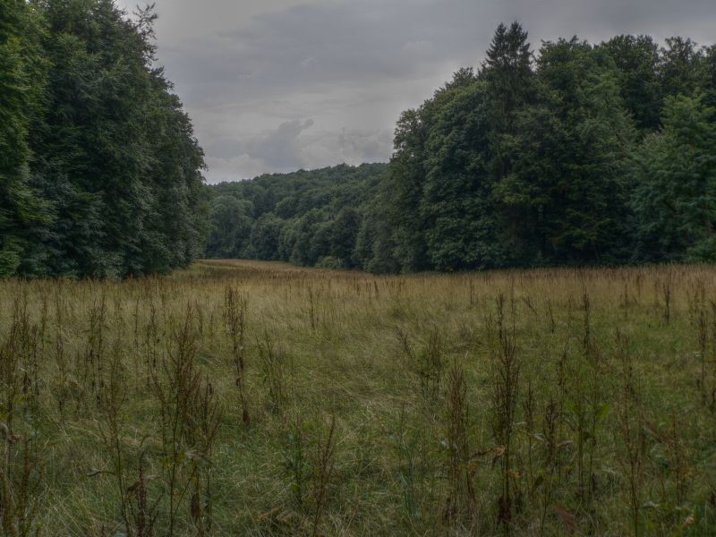 hdr-bild96