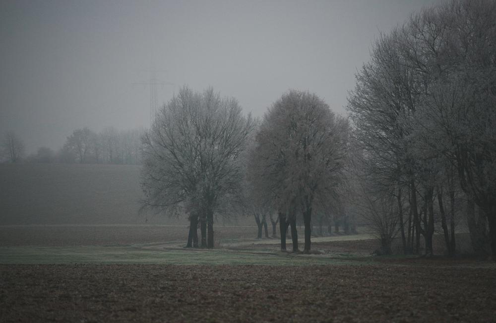 DSC_0301dtdkl-15