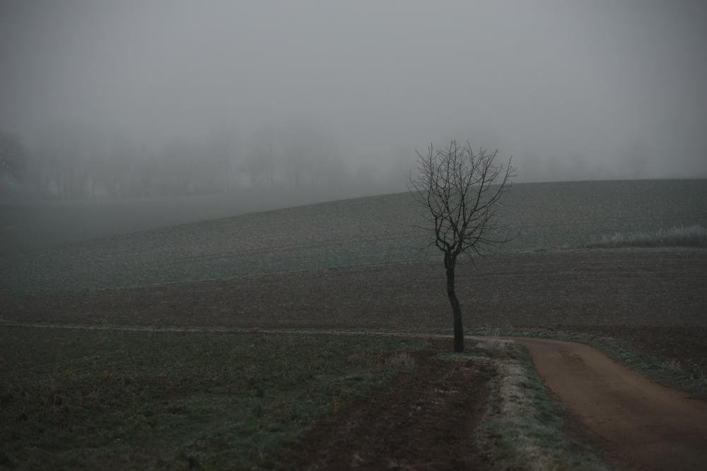 DSC_0311dtkl-20