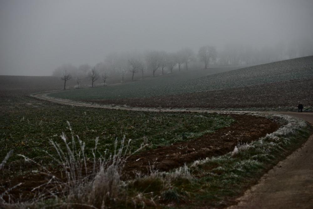 DSC_0318dtkl-22
