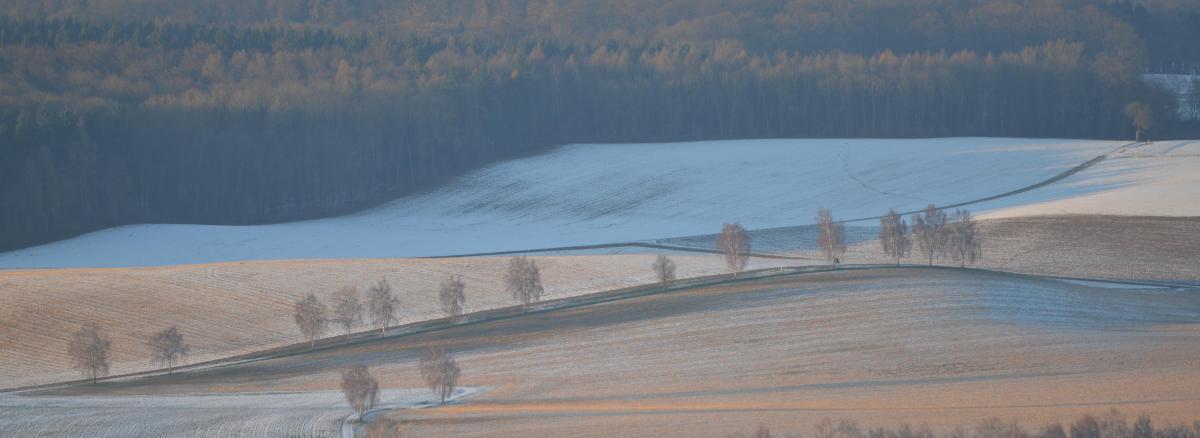 DSC_0355aakl-26