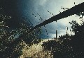 windbruch03