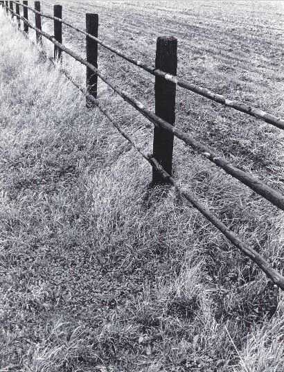 Bild 10 von 16  -  99 kB