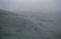 Nebel01
