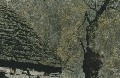 Dach-morsch01