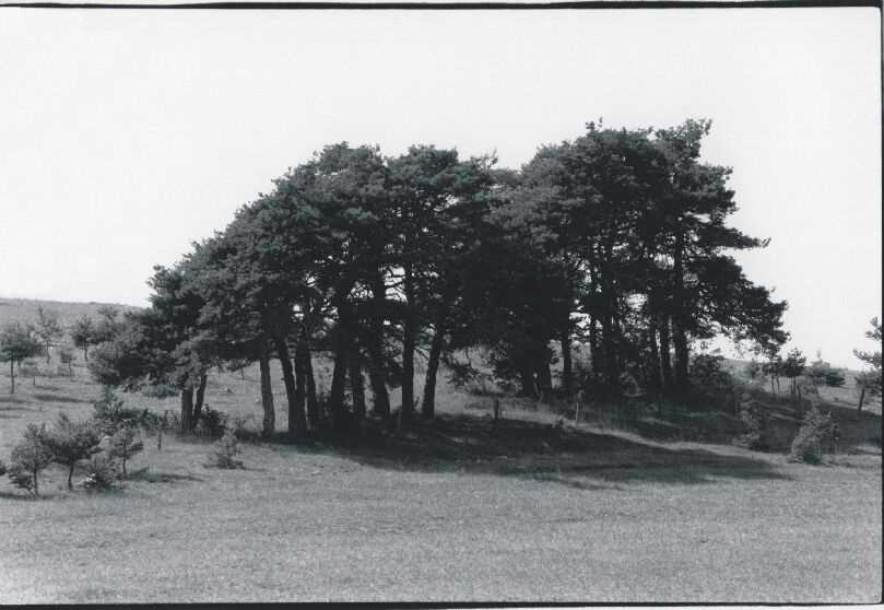 Bild 16 von 16  -  79 kB