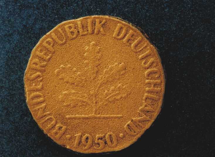 Bild 6 von 16  -  82 kB