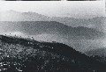dcaussenebtal01