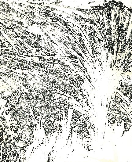 Bild 12 von 16  -  114 kB