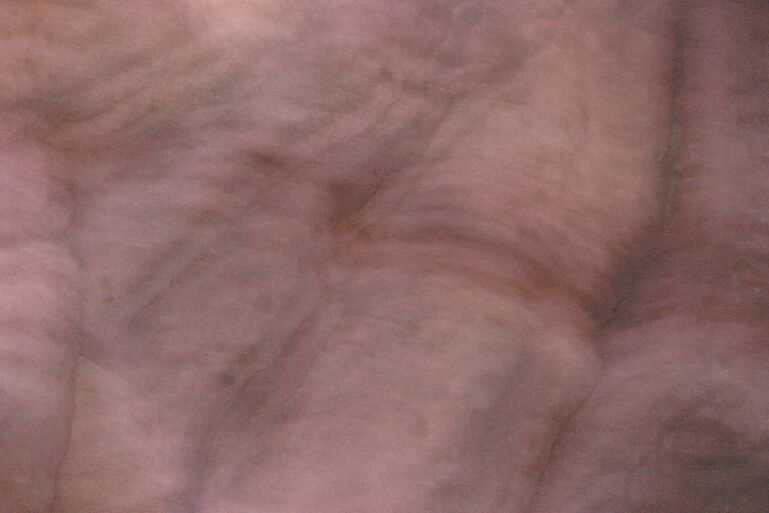 Bild 7 von 16  -  34 kB