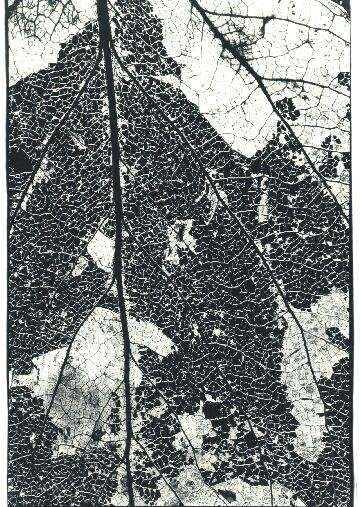 Bild 9 von 16  -  92 kB