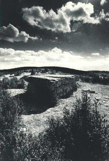 Bild 11 von 16  -  56 kB