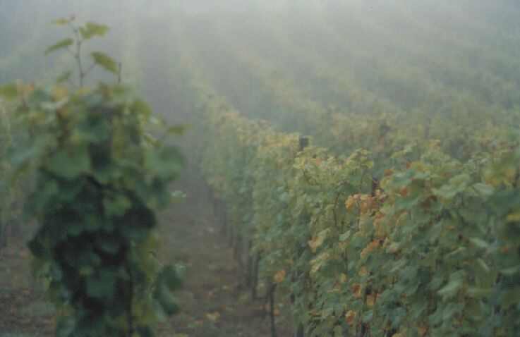 Bild 5 von 16  -  34 kB