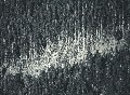 sw_windbruch02