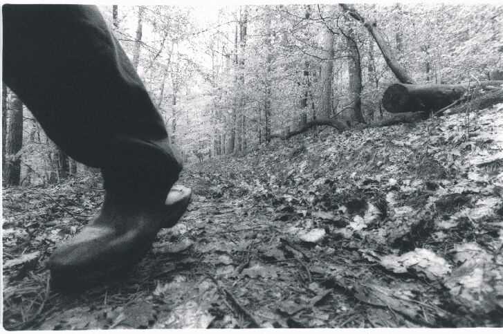 Bild 11 von 16  -  98 kB