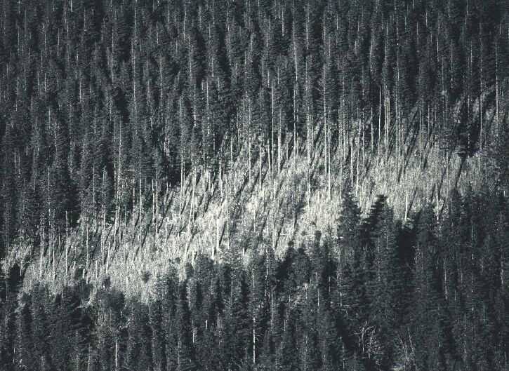 Bild 16 von 16  -  134 kB