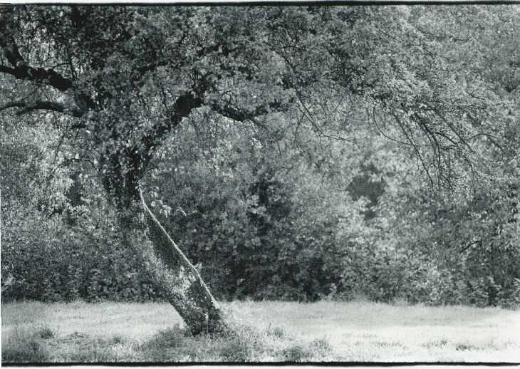 Bild 13 von 16  -  133 kB