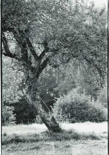 Bild 14 von 16  -  79 kB